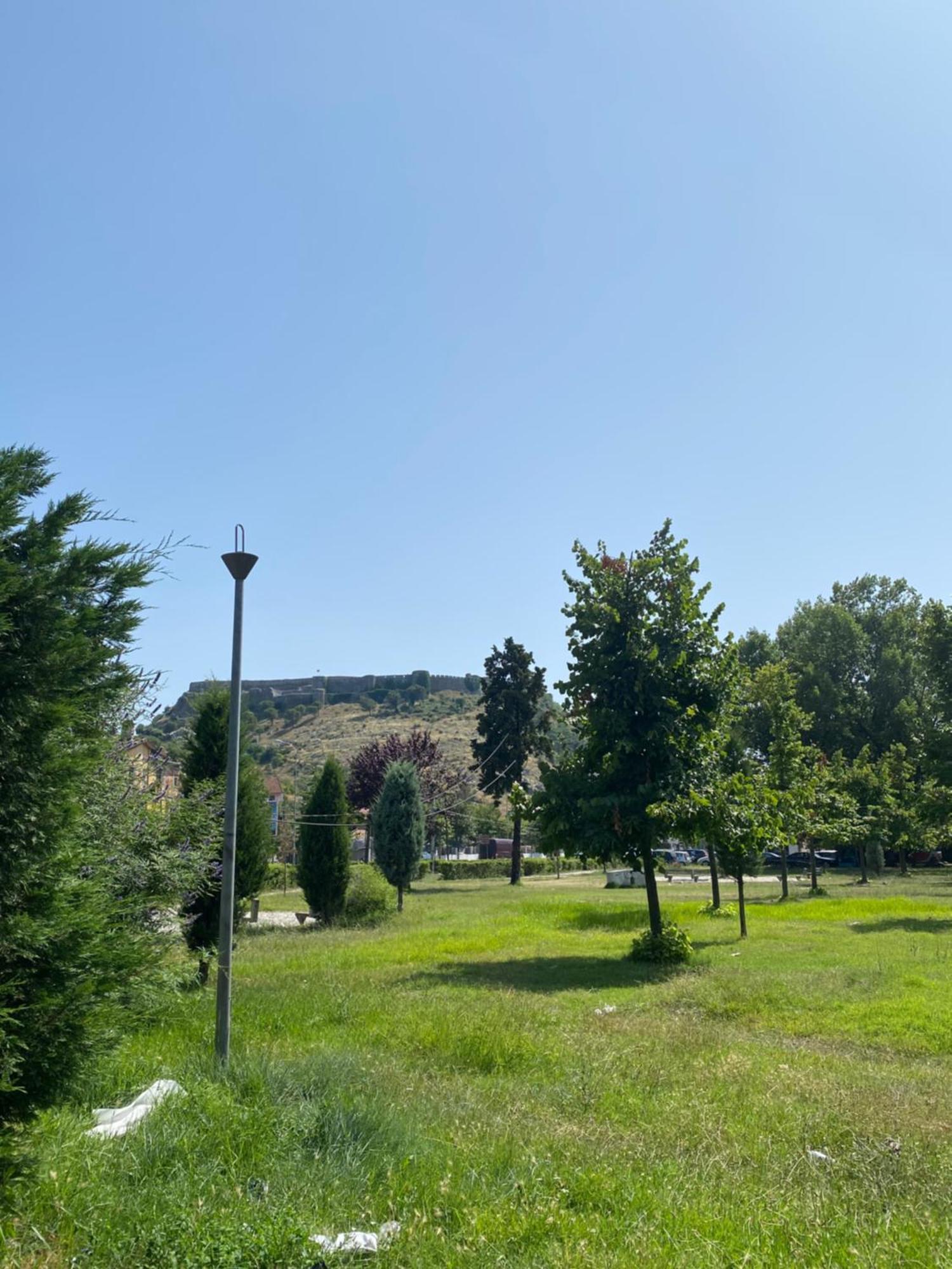 Panoramic