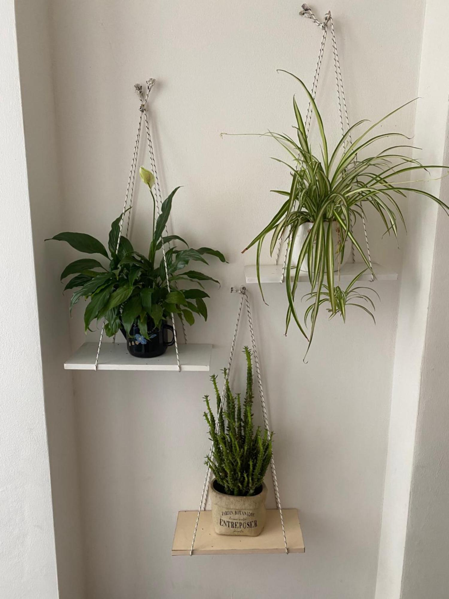 Apartment Panoramic *